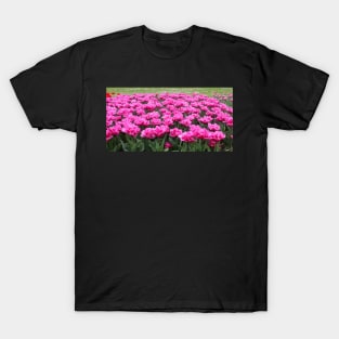 Tulips T-Shirt